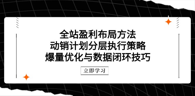 全站盈利布局方法：动销计划分层执行策略，爆量优化与数据闭环技巧-精品虚拟资源库