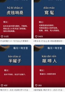 抖音最新涨粉玩法，图文方言暴力涨粉实操，126作品涨粉11W-精品虚拟资源库