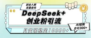 DeepSeek+创业粉精准引流,全新分享课4.0玩法,AI矩阵日引300+,多种变现方式,稳定月入1W-精品虚拟资源库