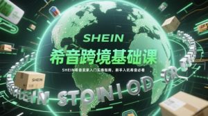 希音跨境基础课，SHEIN希音卖家入门实操指南，新手入坑希音必看-精品虚拟资源库