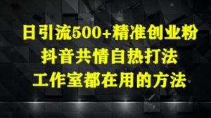 日引流500+精准创业粉，抖音共情自热打法，工作室都在用的方法-精品虚拟资源库