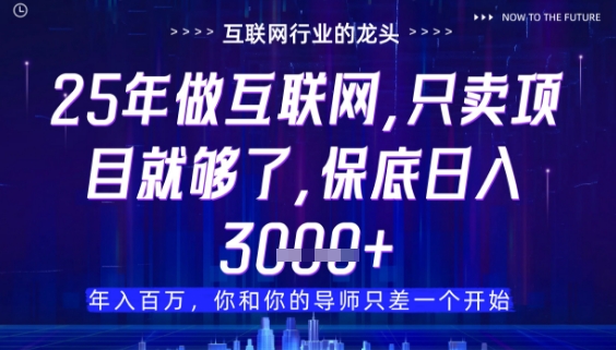 什么！25年你还在找项目做？风口早就变了，卖项目才是稳挣不赔【揭秘】-精品虚拟资源库