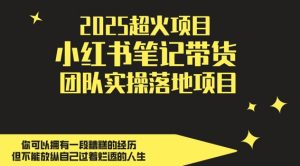 2025超火项目，副业最佳选择，小红书笔记带货团队实操落地项目，，轻松日入5张-精品虚拟资源库