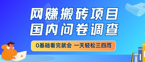 网创搬砖项目，国内问卷调查，小白轻松上手，一天三四张的也不难，干就完了【揭秘】-精品虚拟资源库