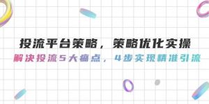 投流平台策略,策略优化实操,解决投流5大痛点,4步实现精准引流-精品虚拟资源库