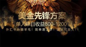 免费技术！小众赛道！一年布局抵三年努力，每日800+-精品虚拟资源库