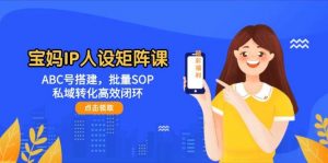 宝妈IP人设矩阵课：ABC号搭建，批量SOP，私域转化高效闭环-精品虚拟资源库
