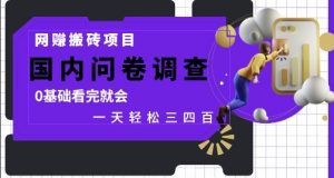 网创搬砖项目，国内问卷调查，0基础看完就会 一天轻松三四张，靠谱副业干就完了【揭秘】-精品虚拟资源库