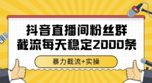 抖音直播间粉丝群暴力截流，一台电脑每天稳定2000条数据，暴力截流+实操 【揭秘】-精品虚拟资源库