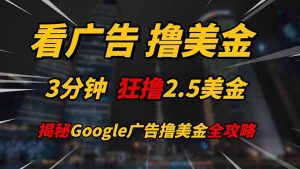 看广告,撸美金!!3分钟赚2.5美金!!日入200美金不是梦!揭秘Google...-精品虚拟资源库