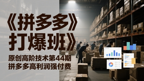 《拼多多打爆班》原创高阶技术第44期，拼多多高利润强付费-精品虚拟资源库