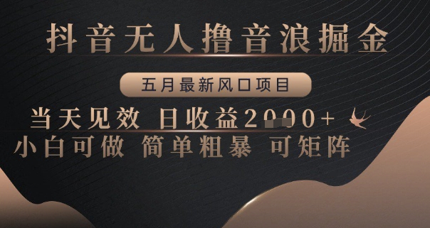 抖音无人撸音浪掘金，五月最新风口项目，当天见效，日收益多张，小白可做简单粗暴可矩阵【揭秘】-精品虚拟资源库
