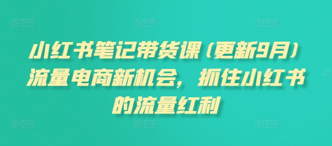 小红书笔记带货课(更新25年4月)流量电商新机会，抓住小红书的流量红利-精品虚拟资源库