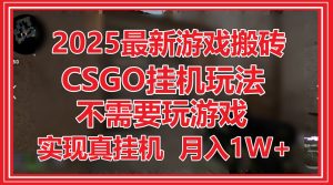 2025最新游戏搬砖，CSGO挂机，不需要玩游戏，实现真挂机，月入1W+-精品虚拟资源库