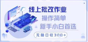 线上批改作业，操作简单新手小白首选，无脑日收300+【揭秘】-精品虚拟资源库