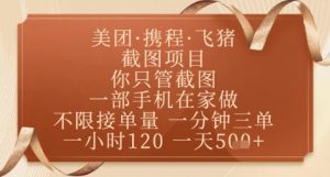 飞猪美团截图项目,你只管截图,一部手机在家做,正规平台无套路,一天5张+【揭秘】-精品虚拟资源库