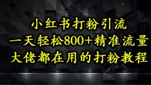 小红书打粉引流，一天轻松500+精准流量，大佬都在用的打粉教程-精品虚拟资源库