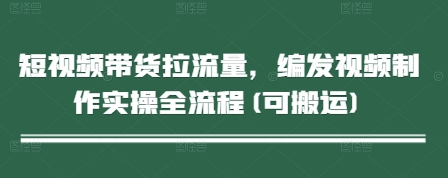 短视频带货拉流量，编发视频制作实操全流程(可搬运)-精品虚拟资源库