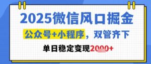 2025微信风口掘金,公众号+小程序双管齐下,单日稳定变现1k+【揭秘】-精品虚拟资源库