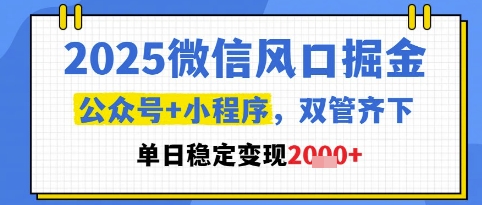 2025微信风口掘金，公众号+小程序双管齐下，单日稳定变现1k+【揭秘】-精品虚拟资源库