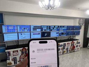 2025年实操六大项目实操演练，挂机类型，AI直播类型，轻资产创业类型，...-精品虚拟资源库