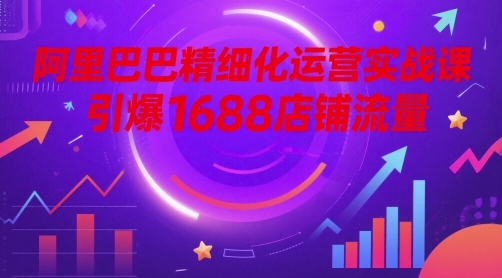 阿里巴巴精细化运营实战课，引爆1688店铺流量-精品虚拟资源库