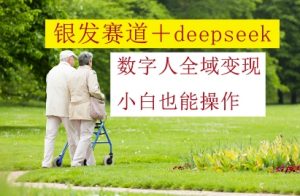 银发赛道+deepseek数字人全域变现，小白也能操作-精品虚拟资源库