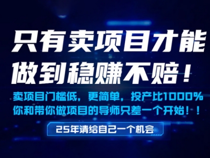 只有卖项目才能做到稳挣不赔，门槛低，更简单，你也可以年入百个W【揭秘】-精品虚拟资源库
