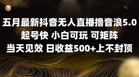 2025五月最新无人直播撸音浪单日产出5张+实操教程【揭秘】-精品虚拟资源库