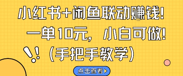 小红书+闲鱼联动挣钱，一单10元，小白可做-精品虚拟资源库