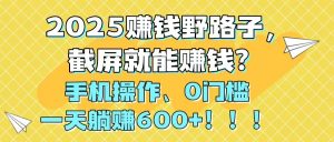 2025赚钱野路子，截屏就能赚钱？手机操作0门槛，一天躺赚600+！！！-精品虚拟资源库