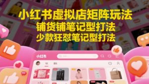 小红书虚拟店矩阵玩法,铺货铺笔记型打法,少款狂怼笔记型打法-精品虚拟资源库