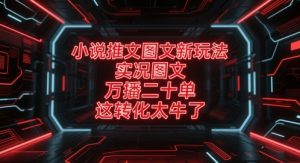小说推文图文新玩法，实况图文，万播二十单，这转化太牛了！-精品虚拟资源库