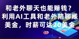 和老外聊天也能挣钱？利用AI工具和老外陪聊挣美金，时薪可达20刀-精品虚拟资源库