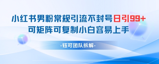 小红书男粉常规引流不封号日引99+变现简单 可矩阵可复制小白容易上手-精品虚拟资源库