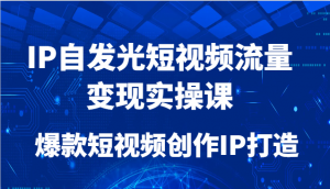 IP自发光短视频流量变现实操课，爆款短视频创作IP打造-精品虚拟资源库