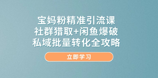 宝妈粉精准引流课，社群猎取+闲鱼爆破，私域批量转化全攻略-精品虚拟资源库