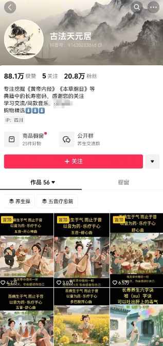 古法五音养生教程，五音疗愈的视频的制作方法，2-4小时就能学会，作者10天涨粉10W-精品虚拟资源库