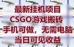 最新挂G项目，CSGO游戏搬砖，手机可做，无需电脑，当日见收益【揭秘】-精品虚拟资源库
