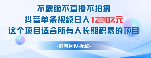 不露脸不直播不拍摄抖音单条视频日入1k+这个项目适合所有人长期积累的项目-精品虚拟资源库