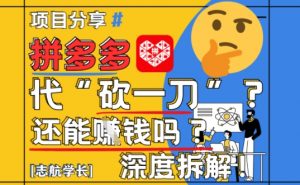 【2025最新】拼多多代坎助力项目深度拆解：还能挣钱吗?全流程玩法-精品虚拟资源库