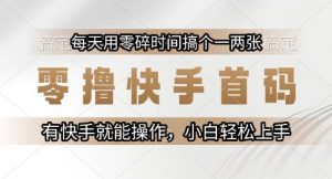 零撸快手首码，每天用零碎时间搞个一两张，有快手就能操作小白轻松上手【揭秘】-精品虚拟资源库