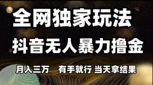 全网独家玩法抖音无人暴力撸金，月入3W，有手就行，当天拿结果【揭秘】-精品虚拟资源库