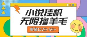 最新小说挂G自撸玩法本人实操单窗口20-50+可矩阵放大操作【揭秘】-精品虚拟资源库