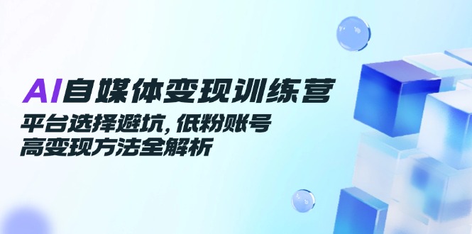 AI自媒体变现训练营，平台选择避坑，低粉账号高变现方法全解析-精品虚拟资源库