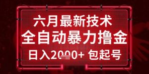 六月最新技术全自动暴力撸金，稳定日入2k+包起号，长期稳定【揭秘】-精品虚拟资源库