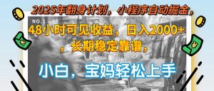 2025年翻身计划,小程序自动掘金48小时可见收益,日入2000+,长期稳定...-精品虚拟资源库