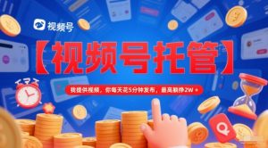 【视频号托管 】我提供视频，你每天花5分钟发布，最高躺挣2W+【揭秘】-精品虚拟资源库