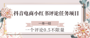 抖音电商小红书评论任务项目，一个评论0.5，一单一结 不限量-精品虚拟资源库
