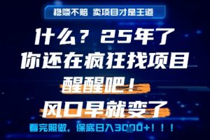 什么？25年你还在疯狂找项目做，醒醒吧，看完这些你全都懂了！【揭秘】-精品虚拟资源库